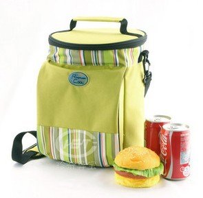 AZO Free Non-toxic Camping Foldable Cooler Bag