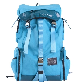 Blue Leasure School Canvas Backpack Travel Bag