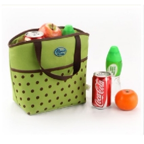 Green With Dots On Square Shape Picnic Bags