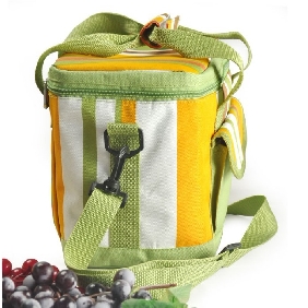 Blue With Zipper Polyester & Nylon Picnic Bags Cooler Bag